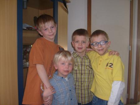mes fis