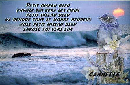 envol le toi
